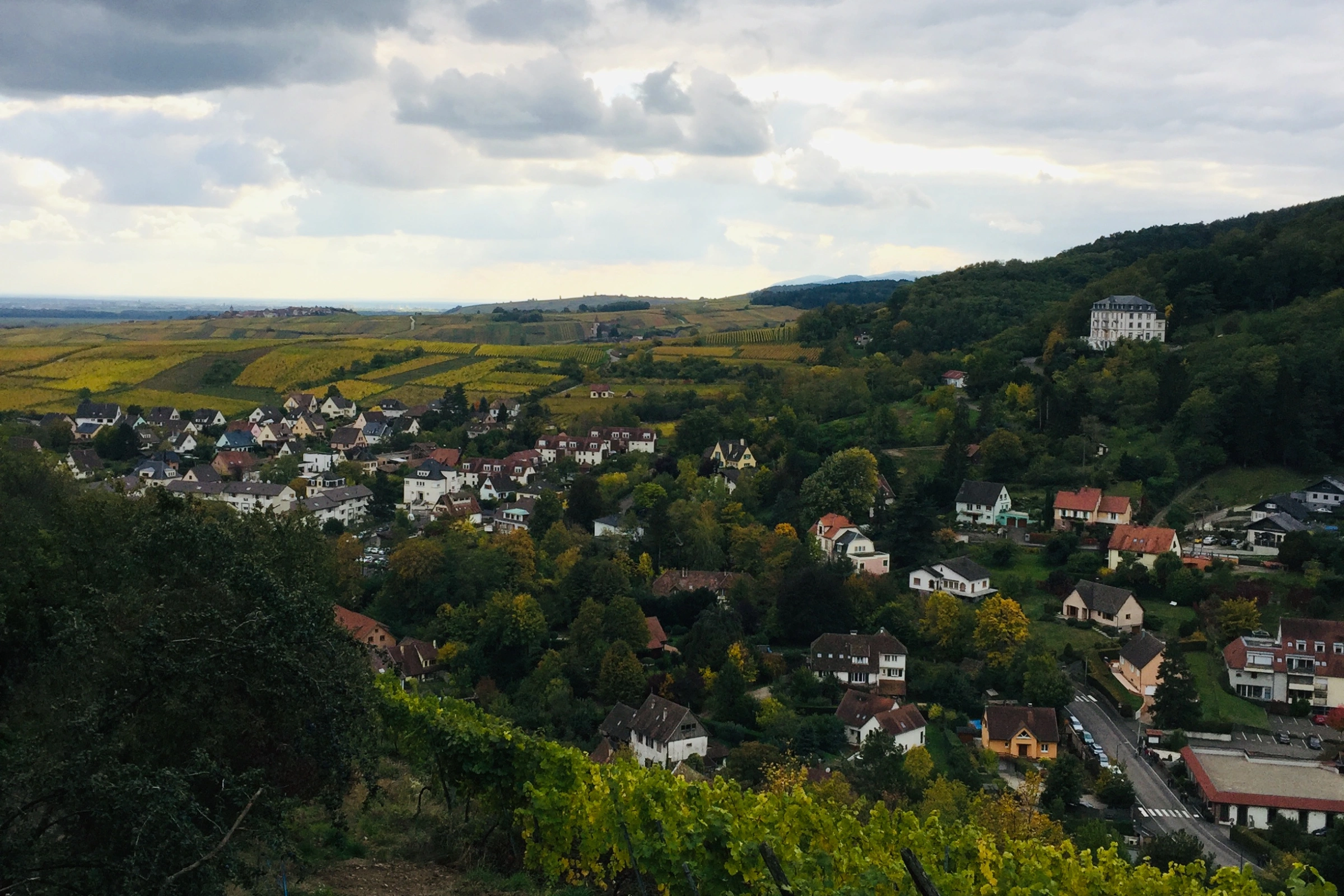50_Ribeauvillé[1].webp